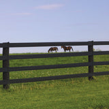 Centaur | CenFlex 5" Rail Horse Fencing