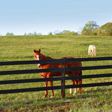 Centaur | Centaur HTP 5" Rail Horse Fencing