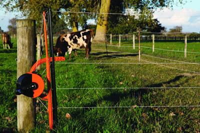 How To Anchor Temporary Fences – On Pasture