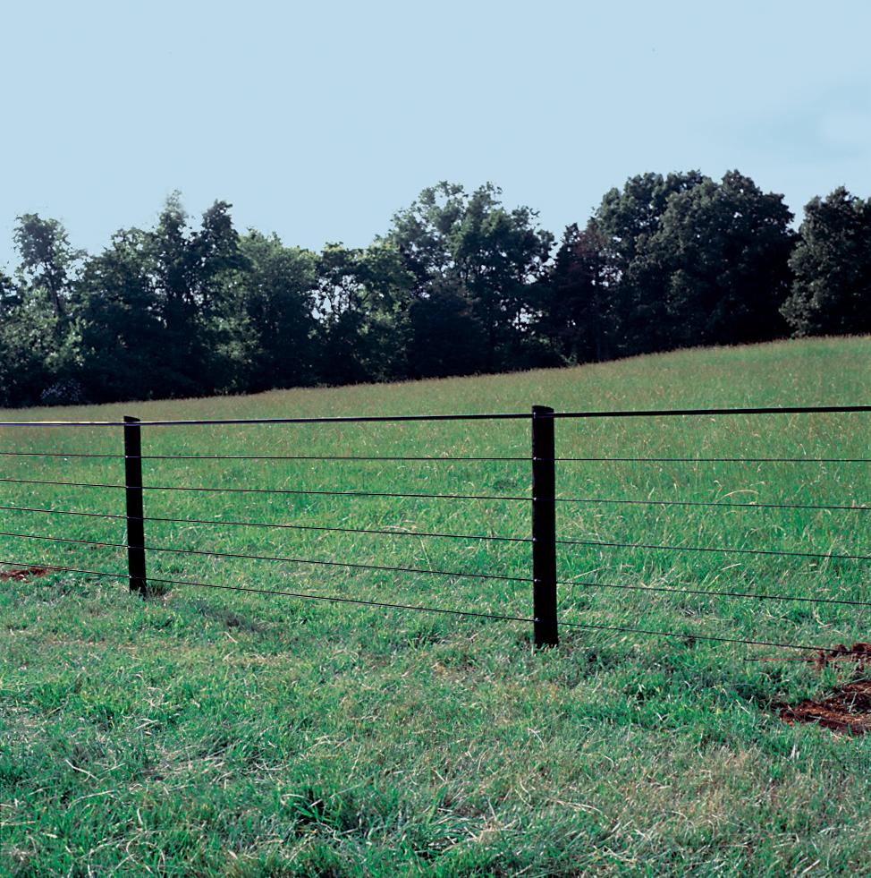 Centaur PolyPlus Coated Horse Fencing, Fast Shipping! – Redstone Supply, image size:974x981