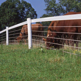 Centaur | PolyPlus Coated Horse Fencing